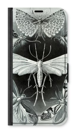 Haeckel Tineida