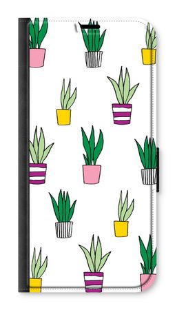 Sanseveria