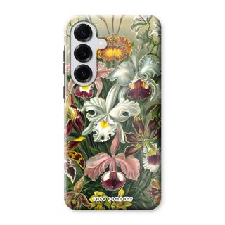 Haeckel Orchidae