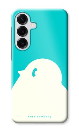 BIG Robin 2