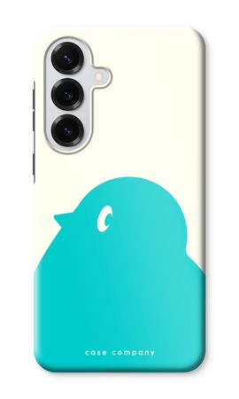 BIG Robin 1