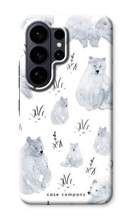 Bears