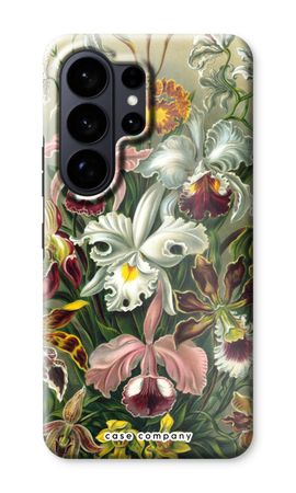 Haeckel Orchidae