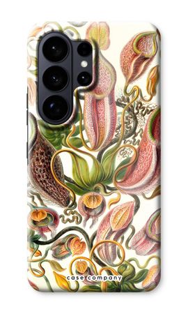 Haeckel Nepenthaceae