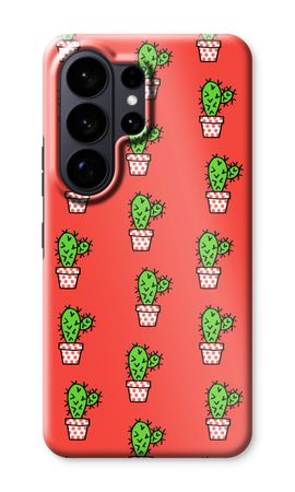 Mini cactus