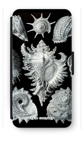 Haeckel Prosobranchia