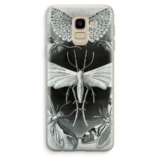 Haeckel Tineida
