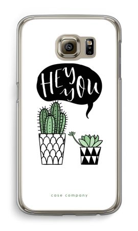 Hey you cactus