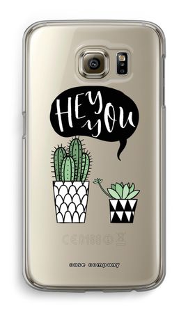 Hey you cactus