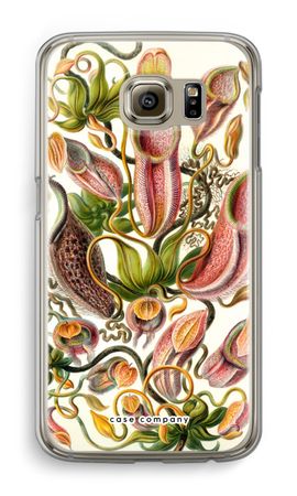 Haeckel Nepenthaceae