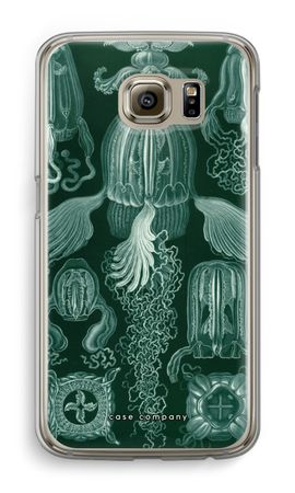 Haeckel Cubomedusae