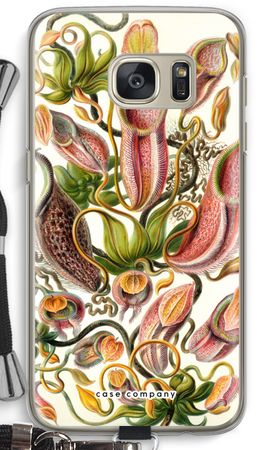 Haeckel Nepenthaceae