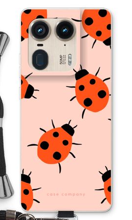 Ladybugs