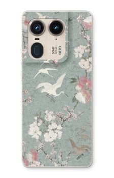 Japanese crane birds blossom