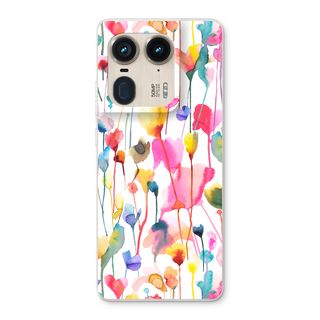 Flores silvestres de colores