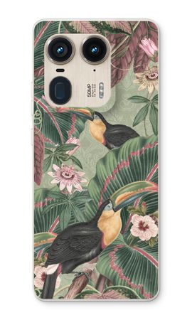 Tropical jungle toucan