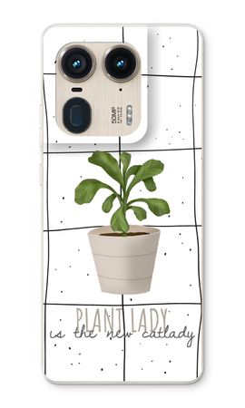 Houseplant on windowpane