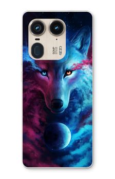 Where Light And Dark Meet