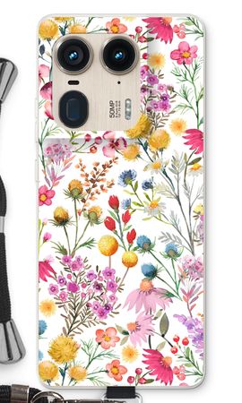 Delicate Plants and Flowers