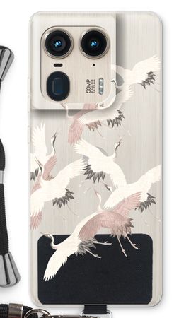 Japanese Crane Birds