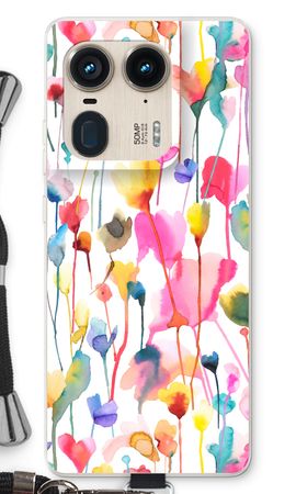 Wild Colorful Flowers