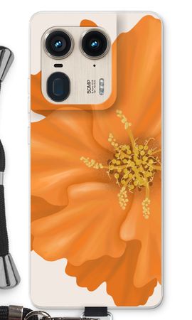 Orange Ellila flower