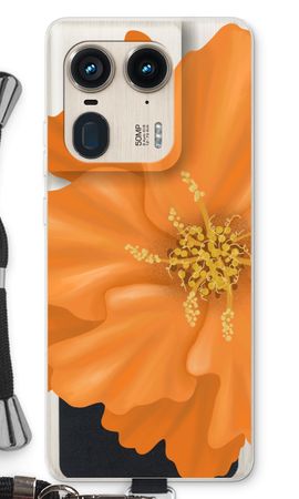 Orange Ellila flower