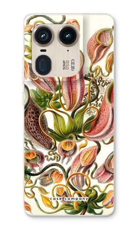 Haeckel Nepenthaceae