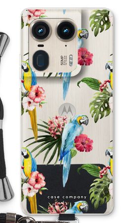 Colourful parrots