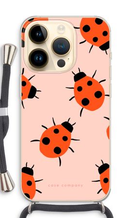 Ladybugs