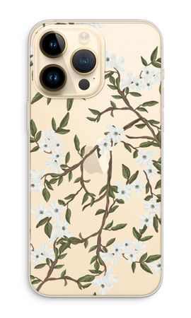Blossoming spring