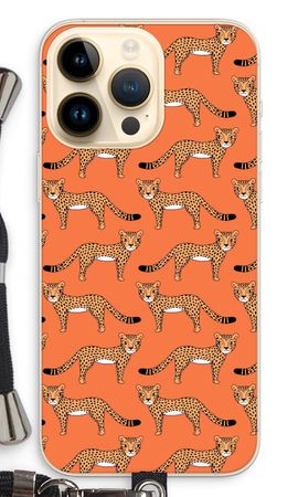 Cheetah
