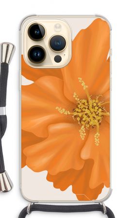 Orange Ellila flower