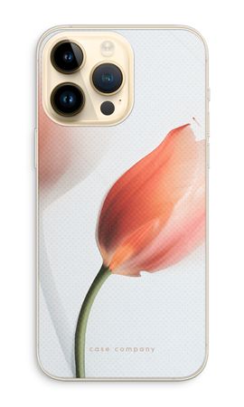 Tulip