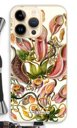 Haeckel Nepenthaceae