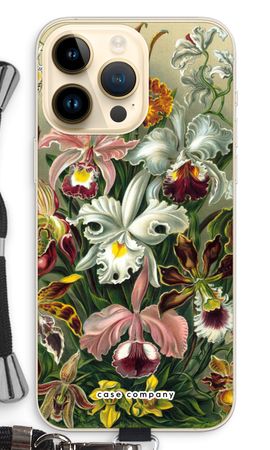 Haeckel Orchidae