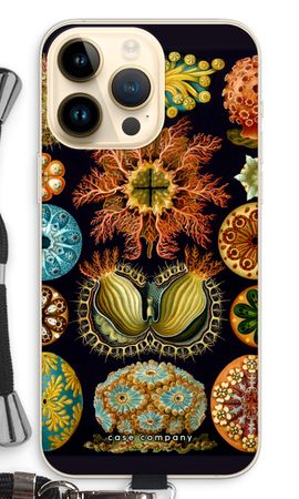 Haeckel Ascidiae