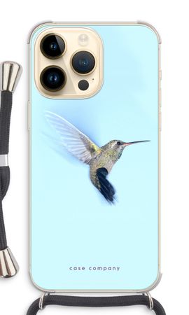 Hummingbird