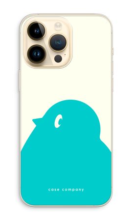 BIG Robin 1
