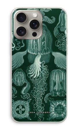 Haeckel Cubomedusae