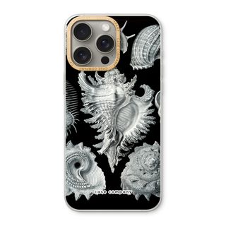 Haeckel Prosobranchia