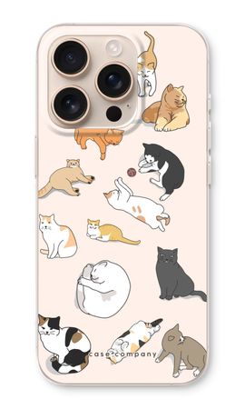 Cats