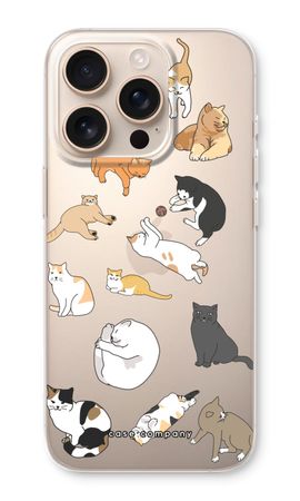 Cats