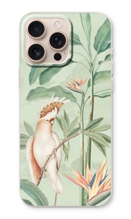 Tropical Parrot