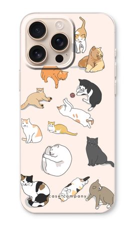 Cats