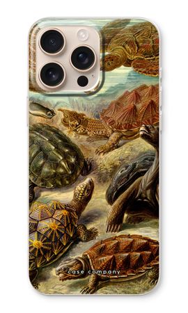 Haeckel Chelonia