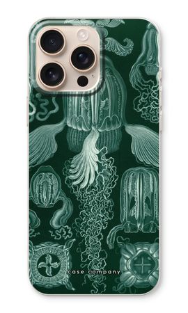 Haeckel Cubomedusae