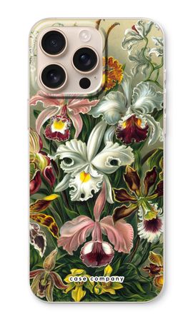 Haeckel Orchidae