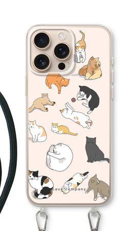 Cats
