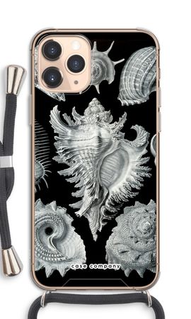 Haeckel Prosobranchia